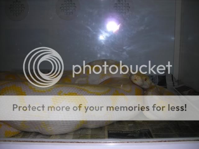 DSCN2935.jpg