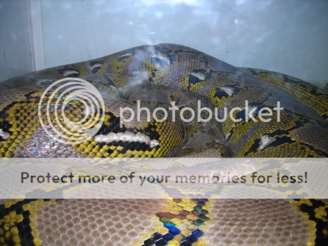 DSCN2936.jpg