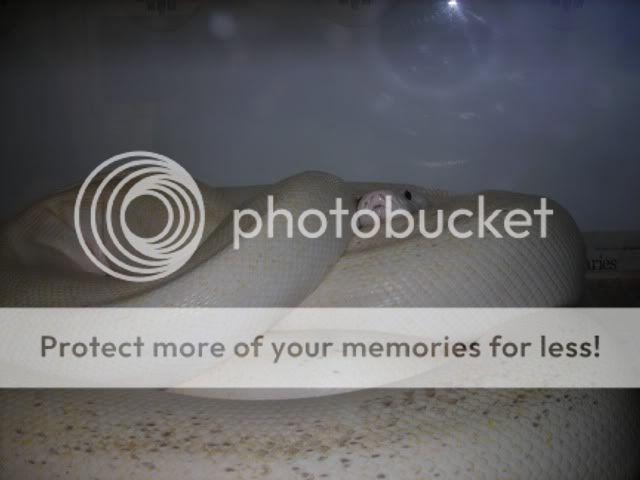 DSCN2941.jpg
