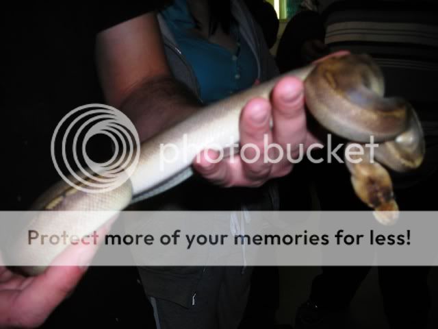 DSCN2947.jpg