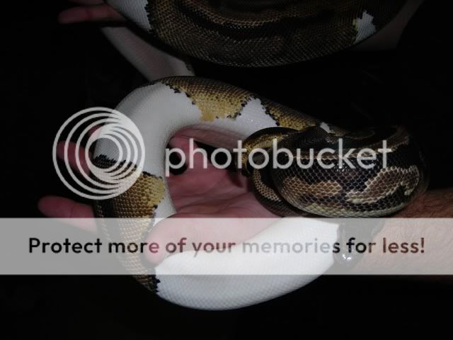 DSCN2952.jpg