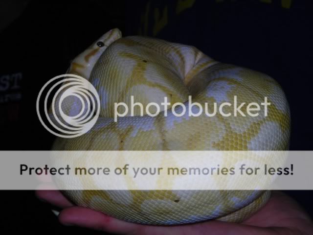DSCN2954.jpg