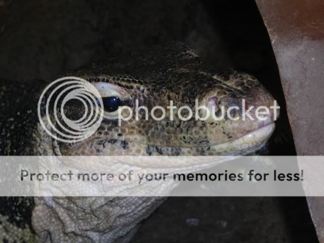 DSCN2960.jpg
