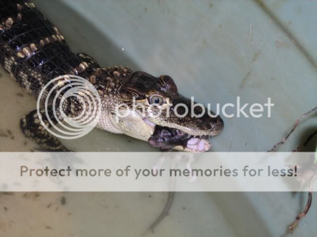 DSCN2967.jpg