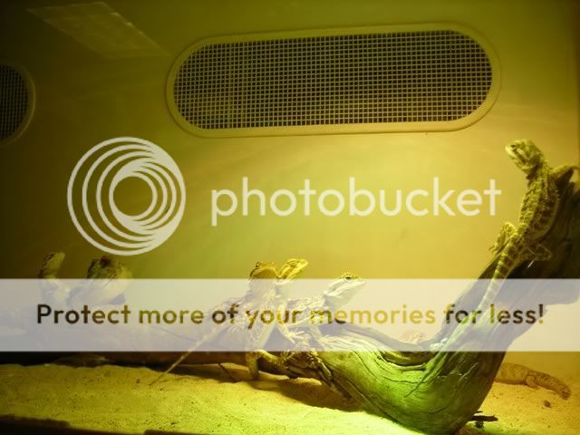 DSCN3006.jpg