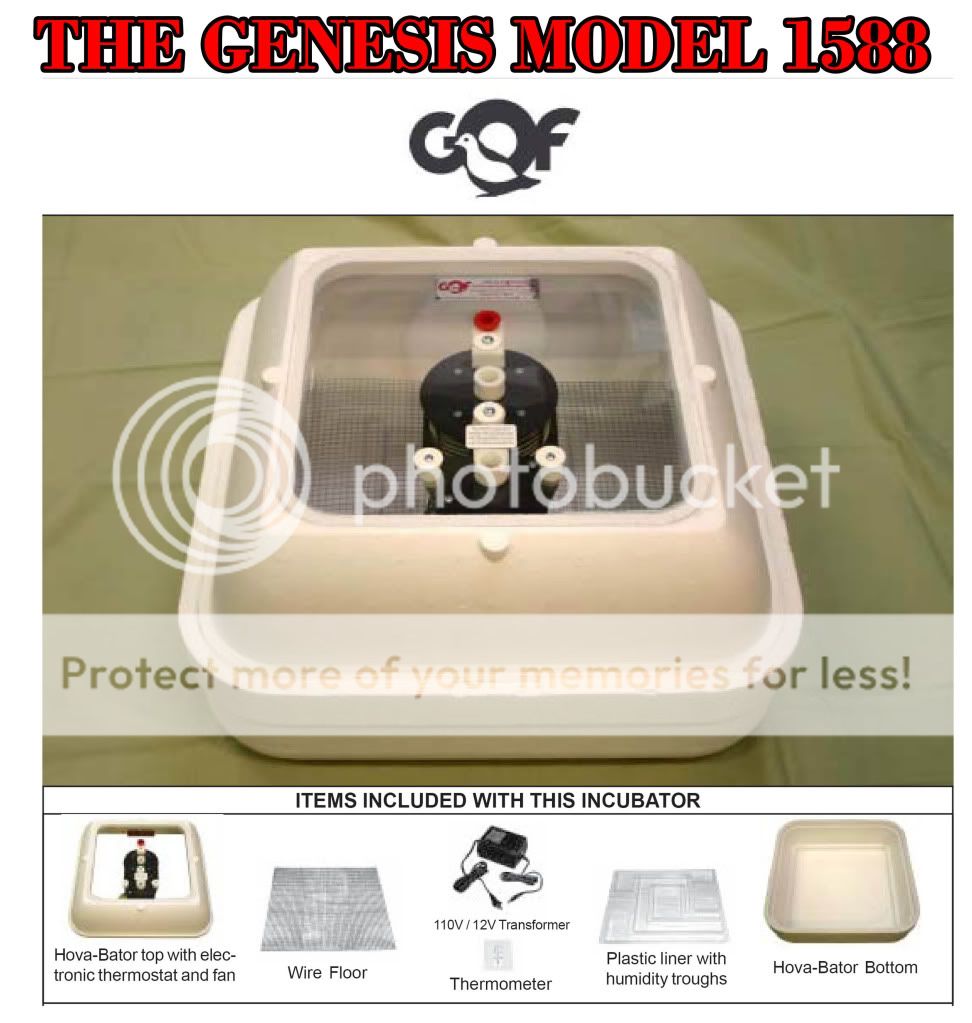 Does anyone use a GENESIS INCUBATOR 1588 BackYard Chickens Learn
