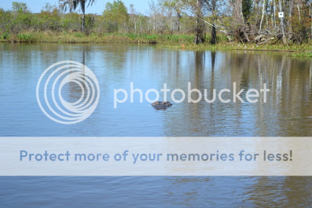 http://i409.photobucket.com/albums/pp176/JCNadal_x/DSC_0277-1.jpg