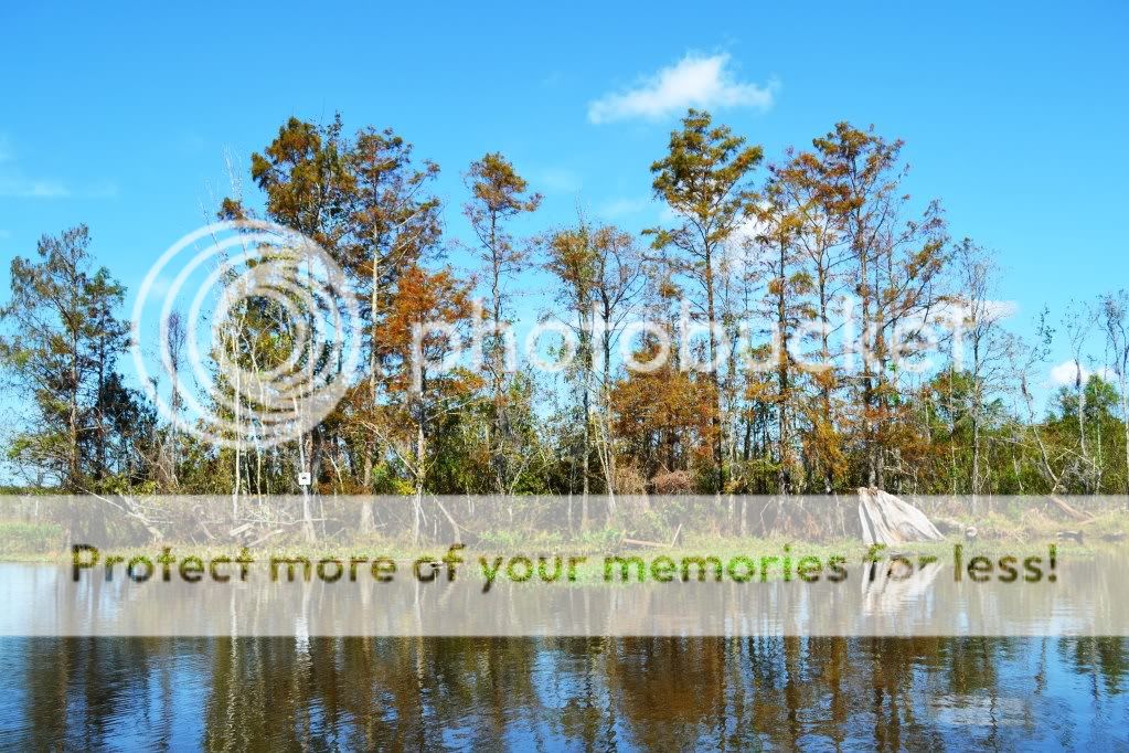 http://i409.photobucket.com/albums/pp176/JCNadal_x/DSC_0308.jpg