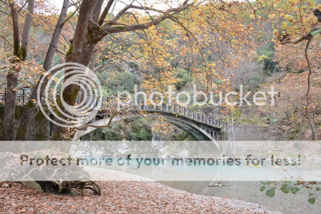 http://i409.photobucket.com/albums/pp176/JCNadal_x/DSC_0465.jpg