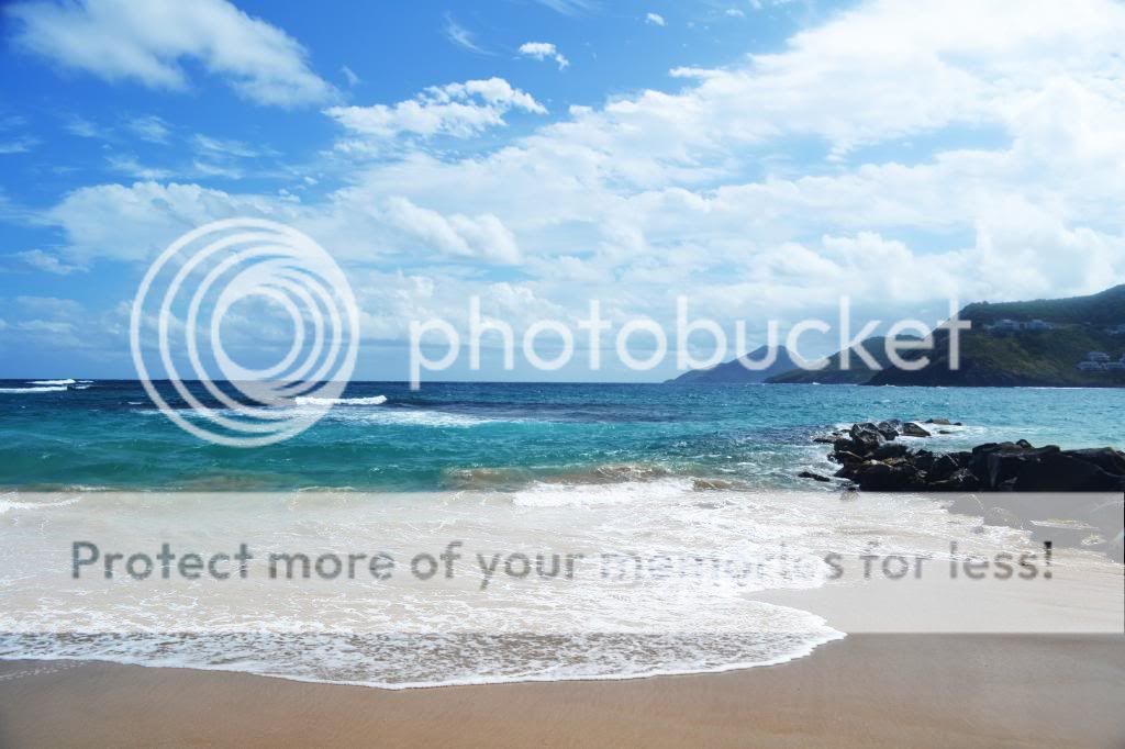 http://i409.photobucket.com/albums/pp176/JCNadal_x/DSC_0493_zps7d9e0a33.jpg