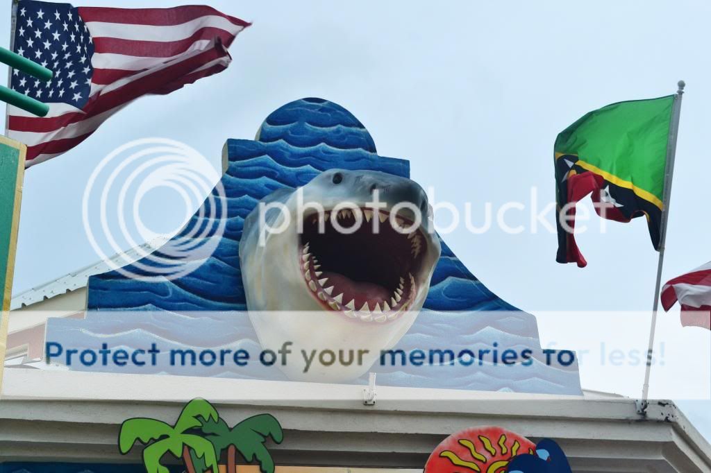 http://i409.photobucket.com/albums/pp176/JCNadal_x/DSC_0515_zpsdf5a6c5c.jpg