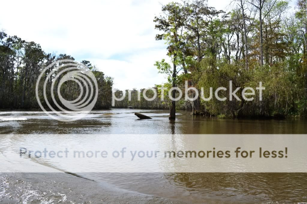 http://i409.photobucket.com/albums/pp176/JCNadal_x/DSC_0558.jpg