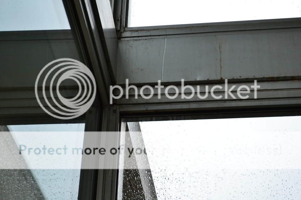 http://i409.photobucket.com/albums/pp176/JCNadal_x/DSC_0893.jpg