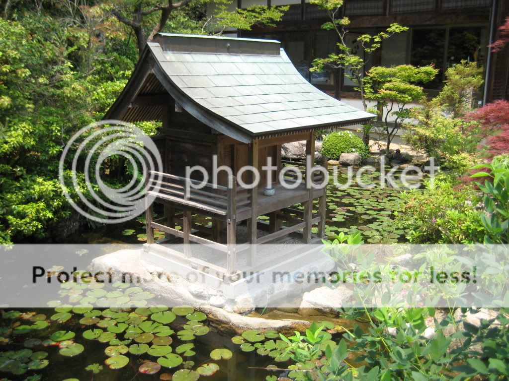 http://i409.photobucket.com/albums/pp176/JCNadal_x/IMG_4111.jpg