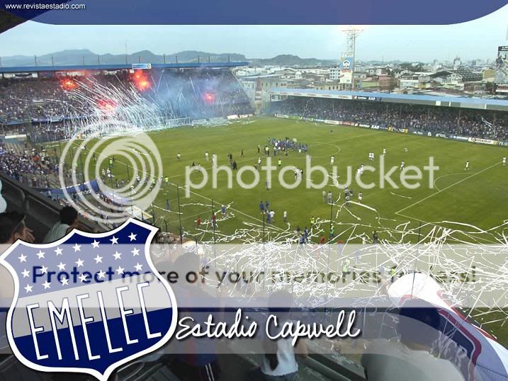 THE BEST Pictures, Images and Photos