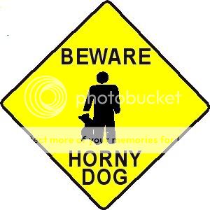 HornyDog1.jpg