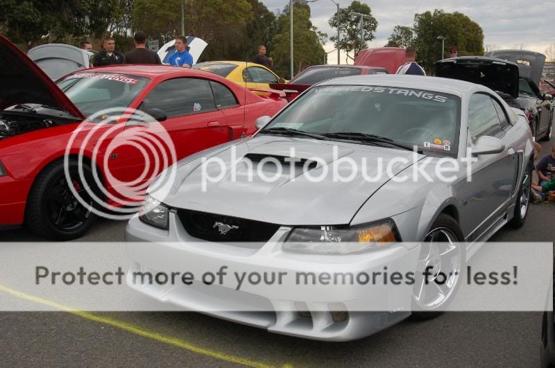 DSC_6152.jpg