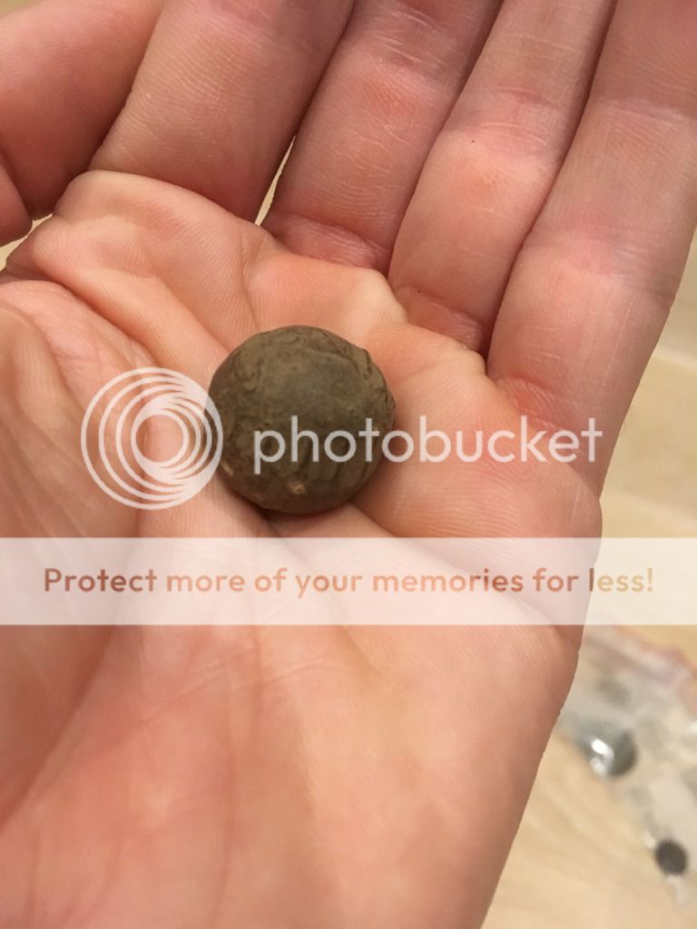 CE8220DF-D21F-40C2-8127-29FED5C06D24_zps