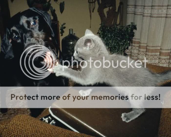 Photobucket