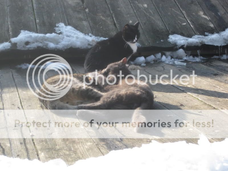 Photobucket